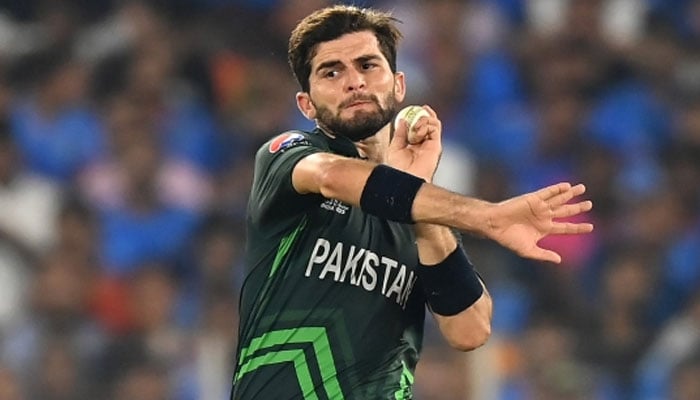 شاہین، پاکستان کے ٹاپ وکٹ ٹیکر بن گئے