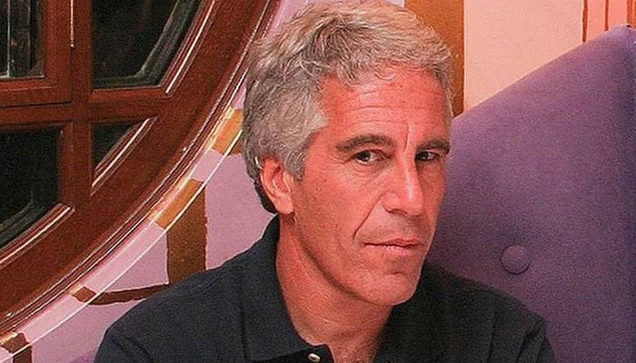 2008 سزا کے بعد بھی ایپسٹین کو بینکوں، ارب پتیوں کی پشت پناہی حاصل رہی