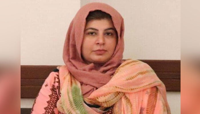 علی حسن زہری کے چیف سیکرٹری کیلئے الفاظ مناسب نہیں تھے، ثمینہ زہری