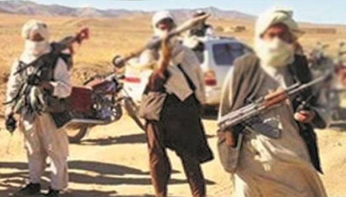 ڈہرکی: فورسز کی مشترکہ کارروائیوں کے اثرات، مزید 14 ڈاکوؤں کا سرنڈر