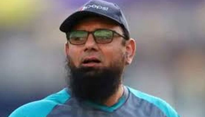 شاداب اور نواز کو درست استعمال نہیں کیا گیا، ثقلین مشتاق