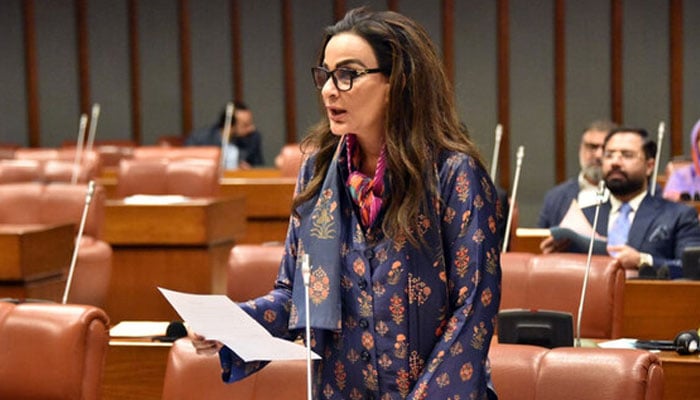 اپنے ملک کو جنگ سے دور رکھیں اعتدال سے بات کریں، سینیٹرز کا اظہار خیال