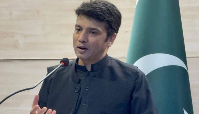 سعودی عرب میں سفارتخانہ پاکستان اور قونصلیٹ کی ہیلپ لائنز 24 گھنٹے کام کر رہی ہیں، قونصل جنرل