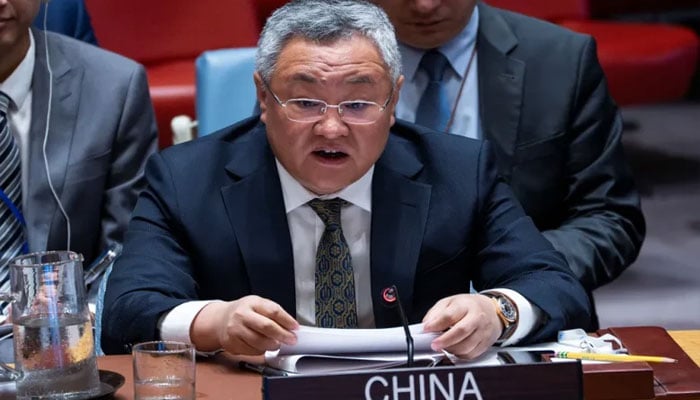 طالبان رجیم کی سرپرستی میں دہشت گردی خطے کیلئے خطرہ ہے، چین