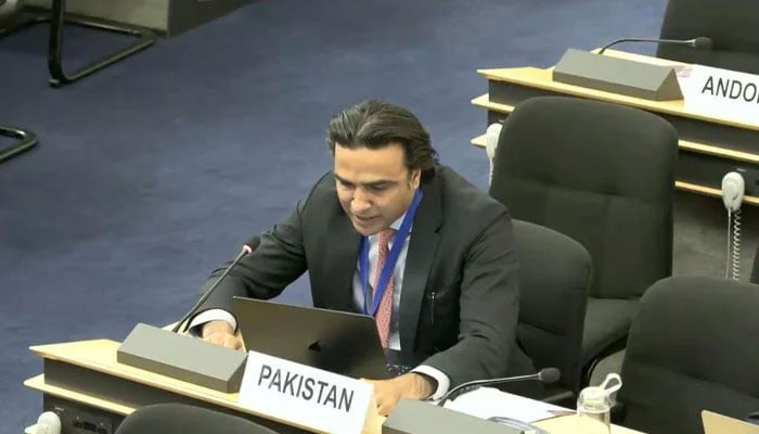 پاکستان دہشت گردی کی ہر شکل اور ہر مظہر کی مذمت کرتا ہے، عدیل ممتاز کھوکھر