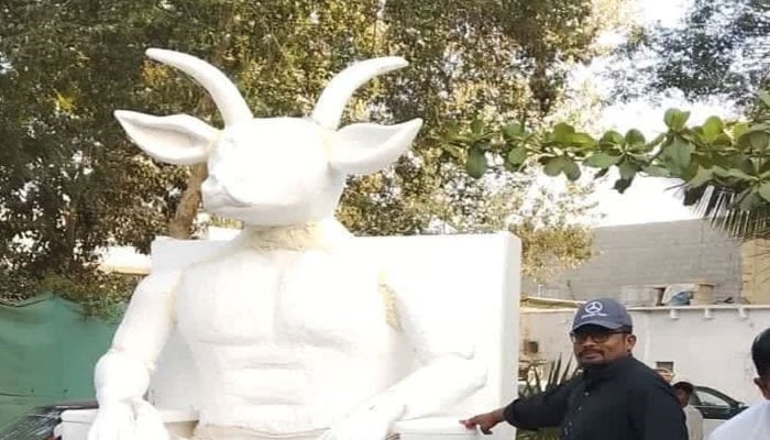 شیطانی مجسمہ بنائے جانے کی ویڈیو کا نوٹس، مجسمے کو اپنے قبضے میں لے لیا