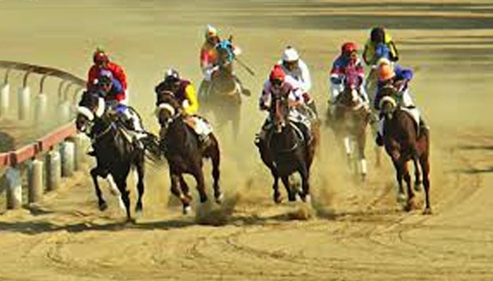 گھوڑوں کی تعداد کم، ریس نہ ہوسکی