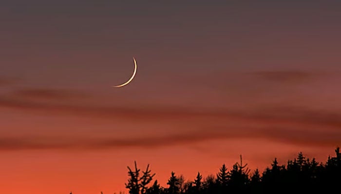 سعودیہ، امارات اور قطر میں چاند نظر نہیں آیا، عید جمعے کو ہوگی