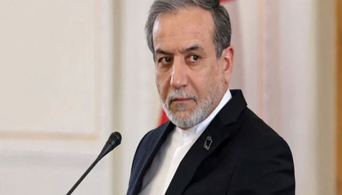 عباس عراقچی کا پاکستان، ترکیہ اور مصر کے وزرائے خارجہ سے رابطہ، باہمی ہم آہنگی مضبوط بنانے پر زور