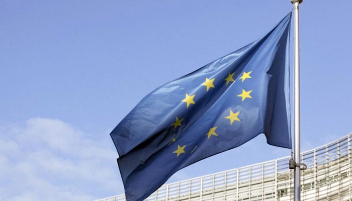 یورپ میں دائیں بازو کی مقبول جماعتوں کو دھچکا، مگر خطرہ بدستور موجود