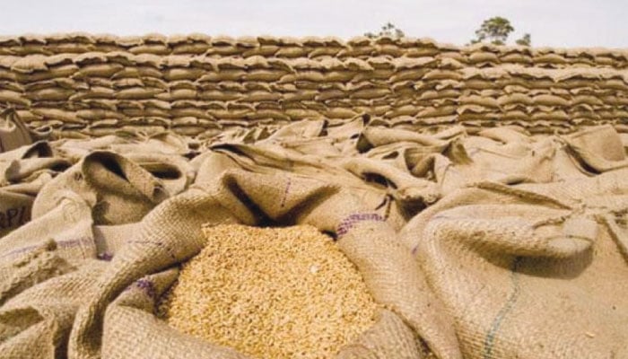 صوبائی حکومت 10 لاکھ میٹرک ٹن گندم خریدے گی، امدادی قیمت 3500 روپے فی 40 کلو مقرر