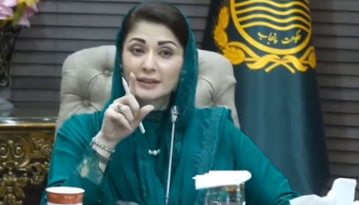 وزیر اعلیٰ مریم نواز کا 35 سو روپے 40 کلو 35 لاکھ ٹن گندم خریداری کا بنچ مارک مقرر