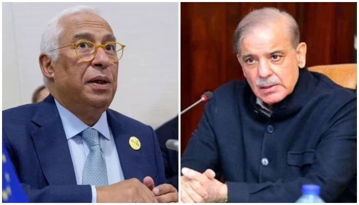 وزیراعظم سے یورپین کونسل کے صدر کا رابطہ، جنگ بندی کیلئے پاکستانی کوششوں کی ستائش