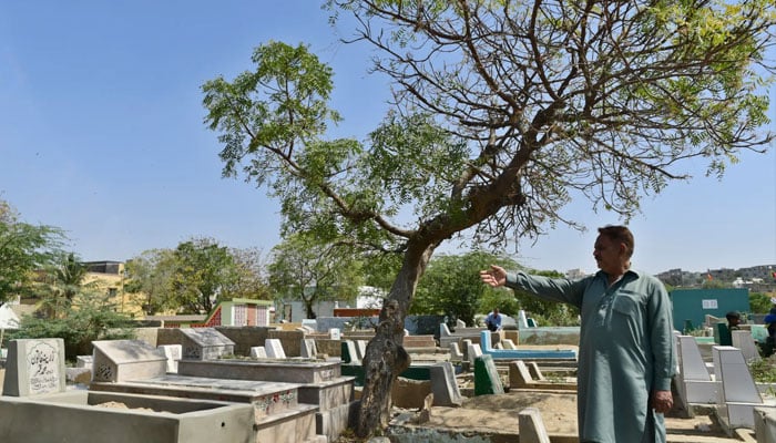 بلدیہ عظمیٰ، 3 مقامات پر نئے ماڈل قبرستانوں کے قیام کا آغاز