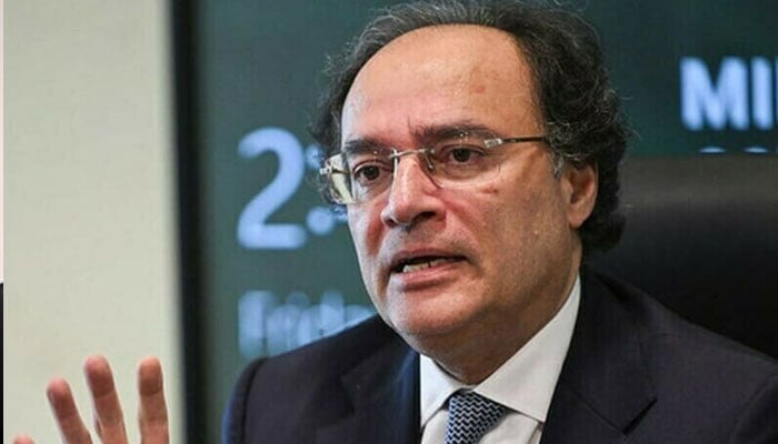 وفاق اور صوبے پٹرولیم کی ٹارگٹڈ سبسڈی سے متعلق ورکنگ فریم ورک تیار کرنے پر متفق