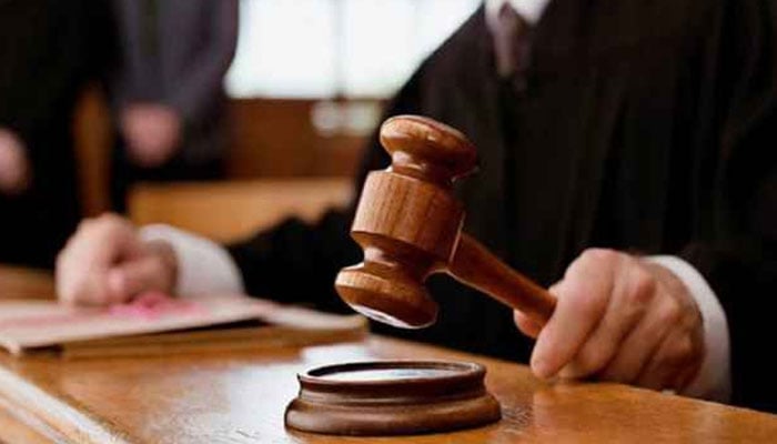 زائد اثاثوں کا ریفرنس، ملزم محمد شاہ راشدی کی ضمانت منظور