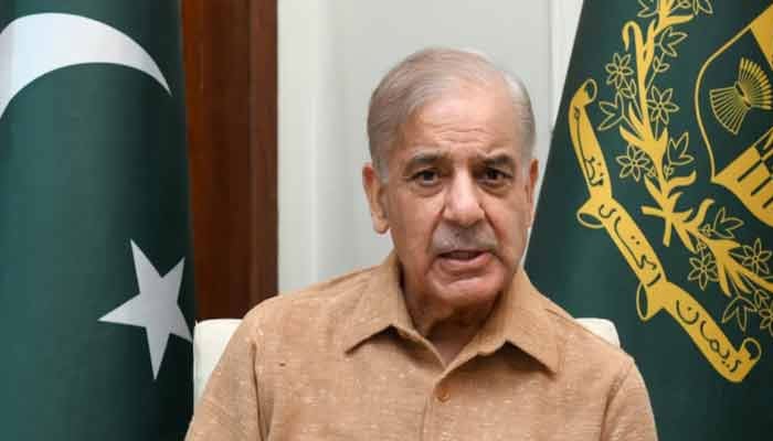 پٹرول 80 روپے سستا، قیمت 378، عوام کو ریلیف ایک ماہ کیلئے ہوگا، وزراء تنخواہیں 6 ماہ تک قومی خزانے میں جمع کرائیں گے، شہباز شریف