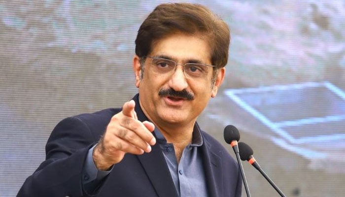 پاکستان کی سفارتی کامیابیوں کی وجہ شہید بھٹو کا ویژن ہے، وزیراعلیٰ سندھ