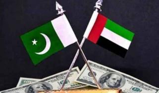 Ansar Abbasi Column Column