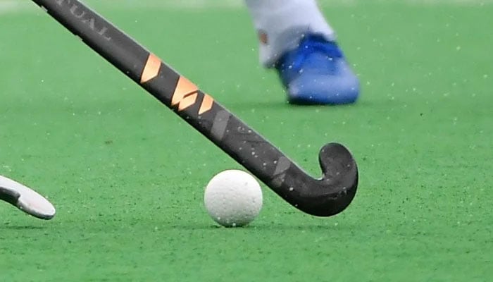 ہاکی، کوچنگ اسٹاف تبدیلی، کھلاڑیوں کے تحفظات، غیر ملکی کوچ کے حق میں