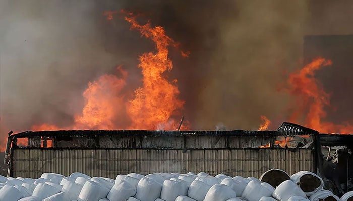 لانڈھی، باڑے میں آتشزدگی کے باعث 8 بھینسیں جھلس کر ہلاک