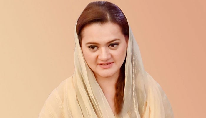 مذاکرات کے نتائج سے عالمی امن کو فروغ ملنے کی امید ہے، مریم اورنگزیب