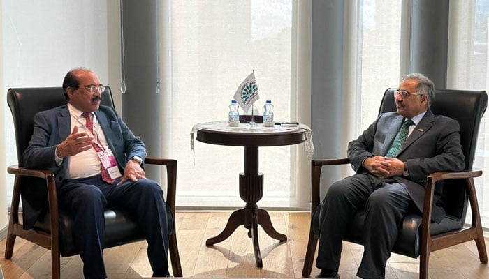 تعلیم، سائنس اور ٹیکنالوجی ڈی-8 تعاون کے بنیادی ستون ہیں، سہیل محمود