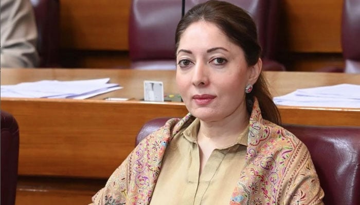 شرمیلا فاروقی—فائل فوٹو
