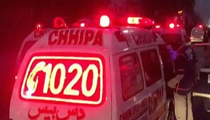 دو نوزائیدہ بچوں کی لاشیں ملیں