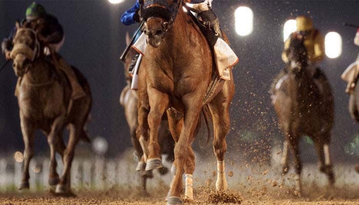 کپ سمیت چار گھڑ دوڑ آج