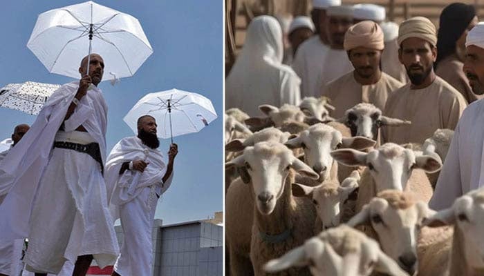 پاکستانی حجاج رواں برس قربانی پر ساڑھے 9 ارب روپے خرچ کرینگے