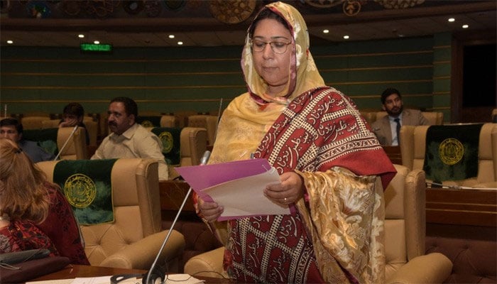 سابق ڈپٹی اسپیکر سندھ اسمبلی ریحانہ لغاری کی کار کو حادثہ