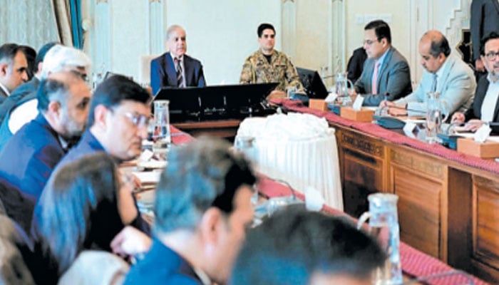 یورپی یونین سے تجارتی و سرمایہ کاری تعلقات کے فروغ کیلئے پُرعزم ہیں، وزیراعظم