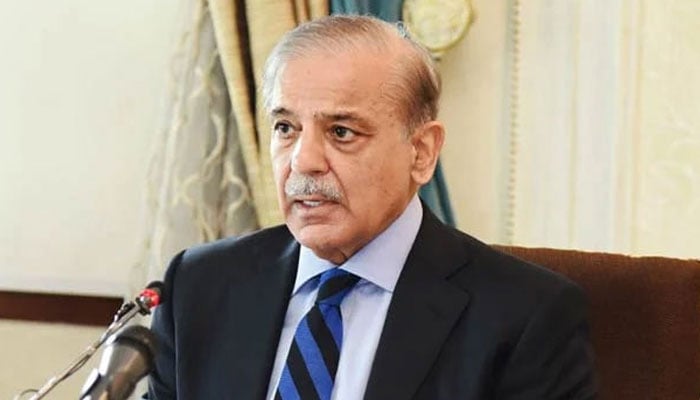 ہماری کاوشیں جنگ بندی میں توسیع، فیلڈ مارشل نے ہمت نہیں ہاری، شہباز