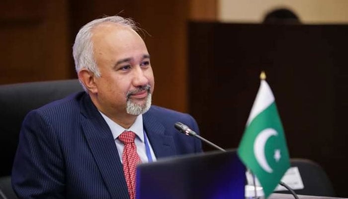 ماسکو میں ’’نیشنیلٹیز ڈے‘‘ فیسٹیول کی 10ویں سالگرہ، پاکستانی طلبہ کی  شرکت