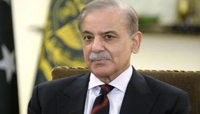 جنگ بندی اور اس کا احترام ناگزیر ہے، شہباز شریف، امارات پر میزائل حملوں کی مذمت