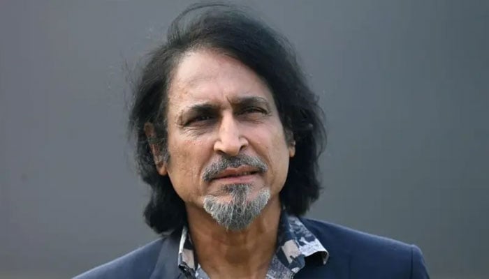 شاہین اب میڈیم پیسر لگتے ہیں، رمیز