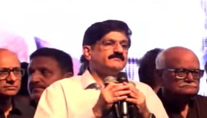 آج ملکی دفاع ناقابل تسخیر ہے تو اس کے پیچھے پی پی کا وژن ہے، وزیراعلیٰ سندھ