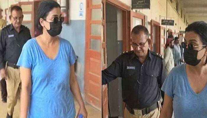 ملزمہ نے نشہ آور اشیا کے باکس پر اپنے نام کی برانڈنگ کروا رکھی تھی