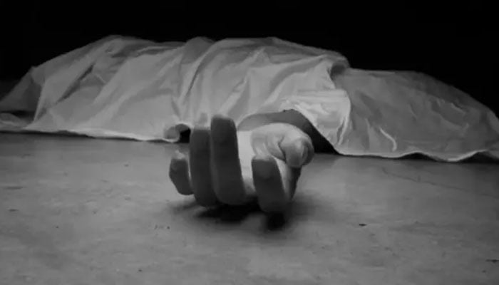 سرجانی، جھگڑے کے دوران شوہر کا بیوی پر تشدد، گلا دباکر قتل کردیا