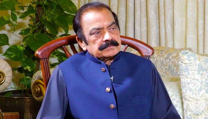 28 ویں ترمیم میں بنیادی مسائل ہونگے، ووٹر کی عمر بڑھانے کی تجویز زیرغور ہے، رانا ثناء