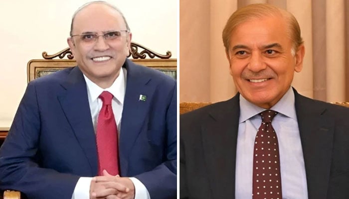 صدر اور وزیراعظم کا مسئلہ فلسطین کے منصفانہ پائیدار حل کیلئے مشترکہ کوششوں کا عزم