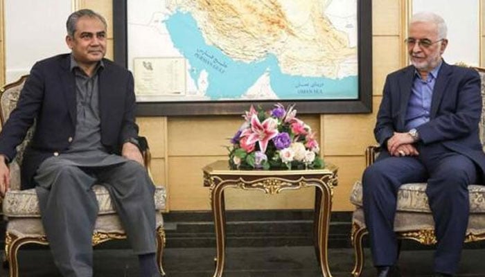 محسن نقوی کوئی اہم پیغام ایران لے کر گئے ہیں، اعزاز سید