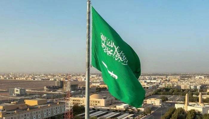 سعودیہ کا 3 ڈرونز گرانے کا دعویٰ، اماراتی نیوکلیئر پاور پلانٹ کے قریب ڈرون حملہ
