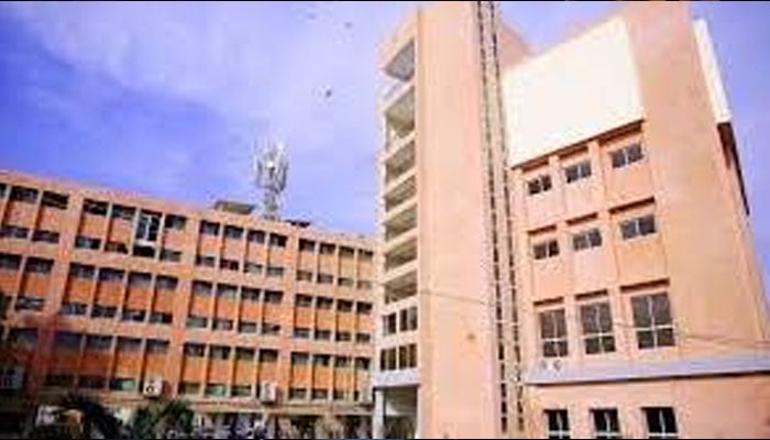 آرٹس کونسل، فائن آرٹس کمیٹی کے زیر اہتمام نمائش کا انعقاد