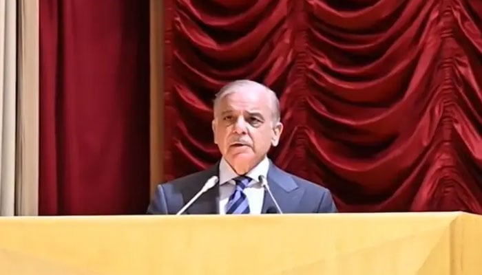 وزیراعظم کا بلوچستان میں معدنیات کے تحفظ کیلئے سیکیورٹی راہداری قائم کرنے کا اعلان