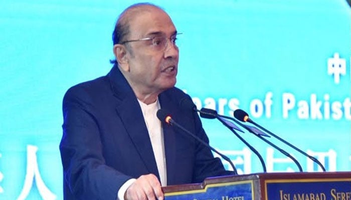پاک چین ترقی، کثیرالجہتی نظام کی حمایت جاری رکھیں گے، صدر زرداری
