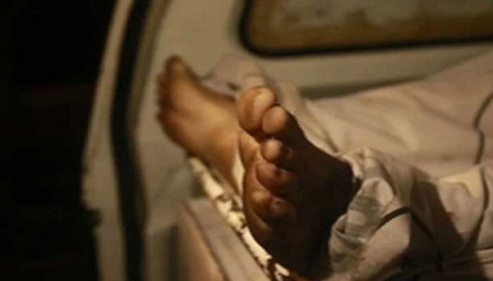 گلشن حدید، بیوی نے بچوں کیساتھ مل کر شوہر قتل کردیا