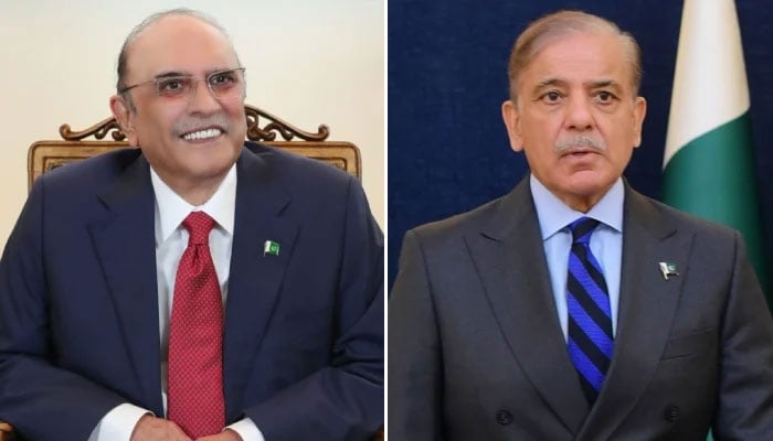 دشمن عناصر عوام کو نقصان پہنچانا اور امن کاوشوں سے توجہ ہٹانا چاہتے ہیں، صدر، وزیراعظم