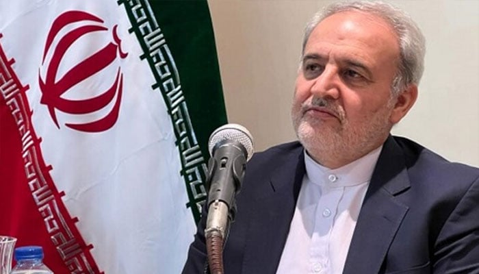کوئٹہ میں بزدلانہ، خودکش اور دہشتگردانہ اقدام کی مذمت کرتے ہیں، ایرانی سفیر